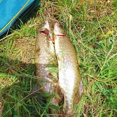 13 아파트 히사랴